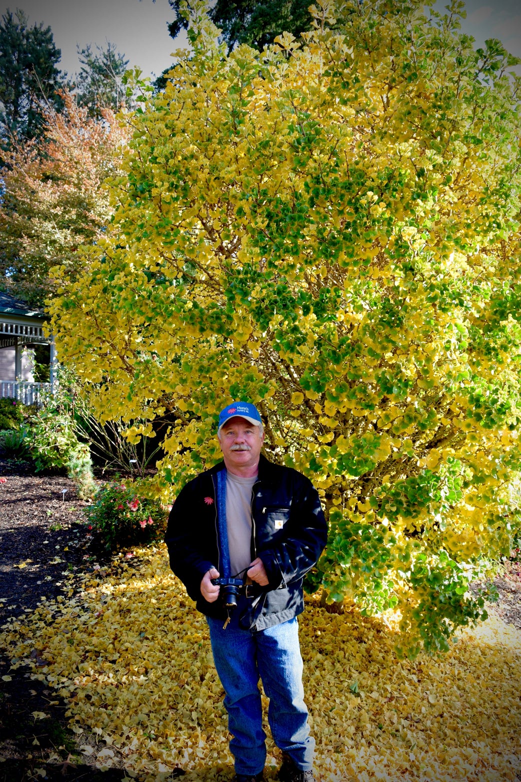 Carl Munn owner Munn's Nursery, Brooks, Oregon grower of Japanese nd Shantung maples.